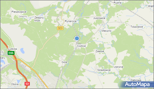 mapa Koźlice, Koźlice gmina Rudna na mapie Targeo