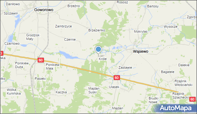 mapa Króle, Króle gmina Wąsewo na mapie Targeo