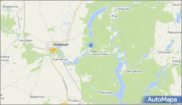 mapa Leontynowo, Leontynowo na mapie Targeo