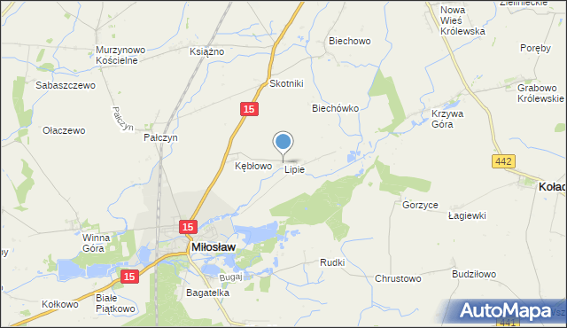 mapa Lipie, Lipie gmina Miłosław na mapie Targeo