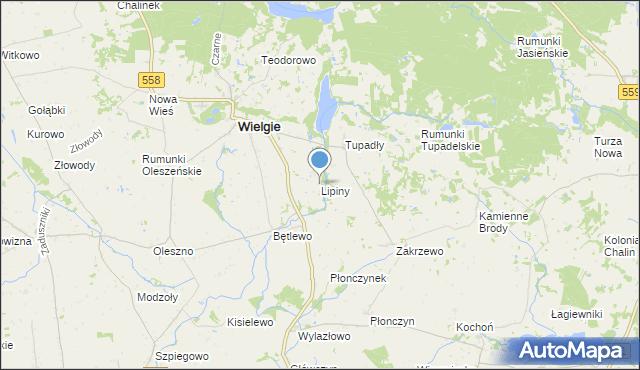mapa Lipiny, Lipiny gmina Wielgie na mapie Targeo