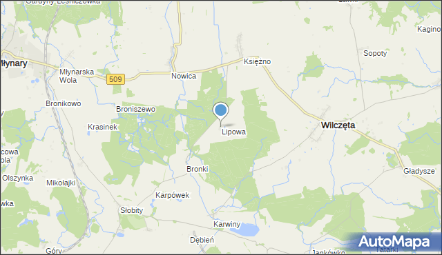 mapa Lipowa, Lipowa gmina Wilczęta na mapie Targeo