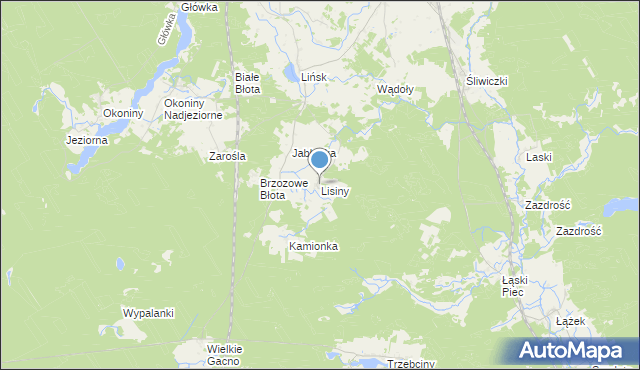 mapa Lisiny, Lisiny gmina Śliwice na mapie Targeo