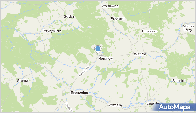 mapa Marcinów, Marcinów gmina Brzeźnica na mapie Targeo