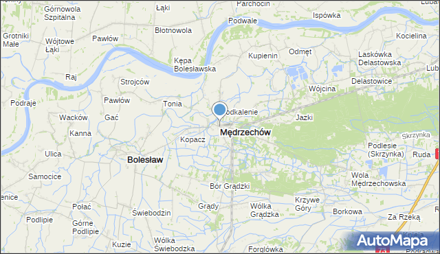 mapa Mędrzechów, Mędrzechów na mapie Targeo