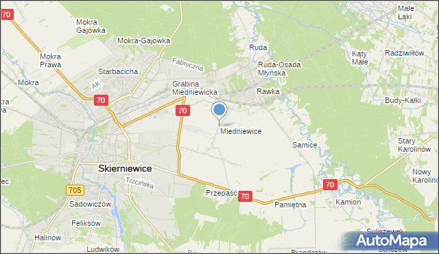 mapa Miedniewice, Miedniewice gmina Skierniewice na mapie Targeo