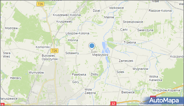 mapa Międzybórz, Międzybórz gmina Opoczno na mapie Targeo