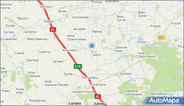 mapa Niecki, Niecki gmina Gostynin na mapie Targeo