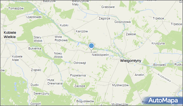 mapa Niedośpielin, Niedośpielin na mapie Targeo