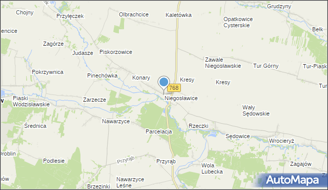 mapa Niegosławice, Niegosławice gmina Wodzisław na mapie Targeo