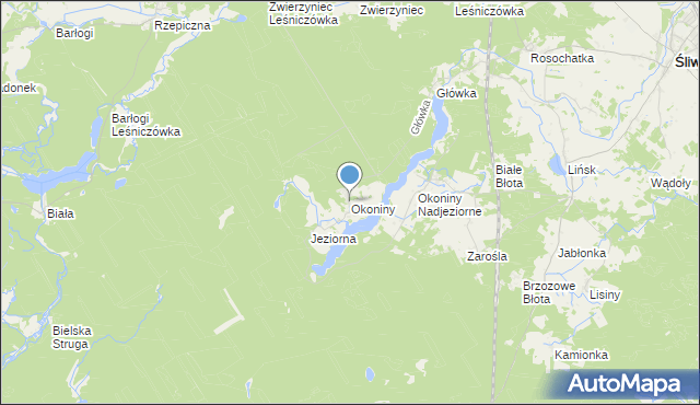 mapa Okoniny, Okoniny gmina Śliwice na mapie Targeo