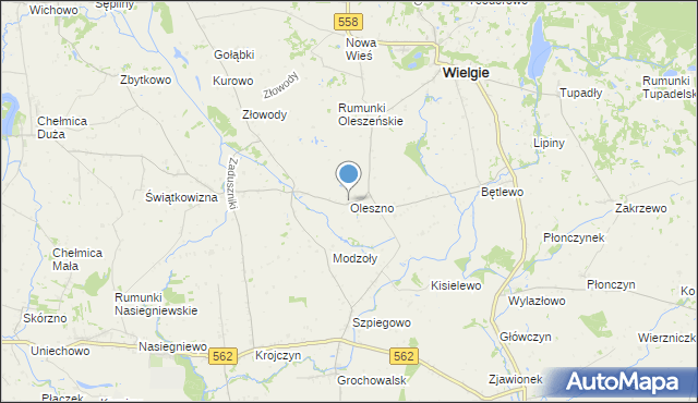 mapa Oleszno, Oleszno gmina Wielgie na mapie Targeo