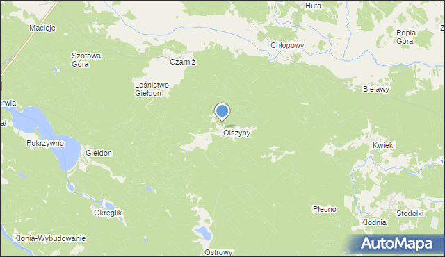 mapa Olszyny, Olszyny gmina Czersk na mapie Targeo