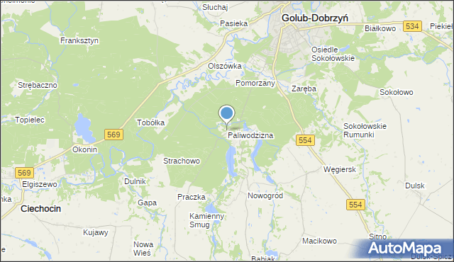 mapa Paliwodzizna, Paliwodzizna na mapie Targeo