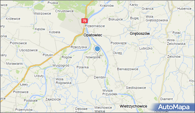 mapa Pałuszyce, Pałuszyce na mapie Targeo