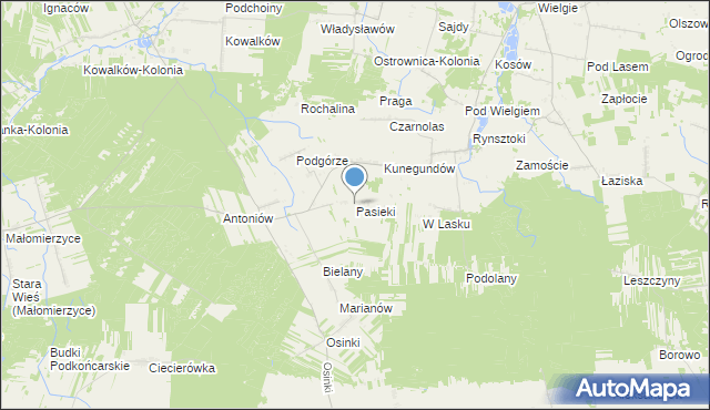 mapa Pasieki, Pasieki gmina Ciepielów na mapie Targeo