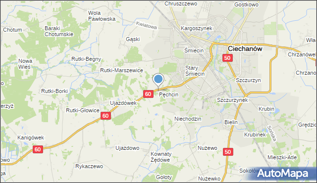 mapa Pęchcin, Pęchcin na mapie Targeo