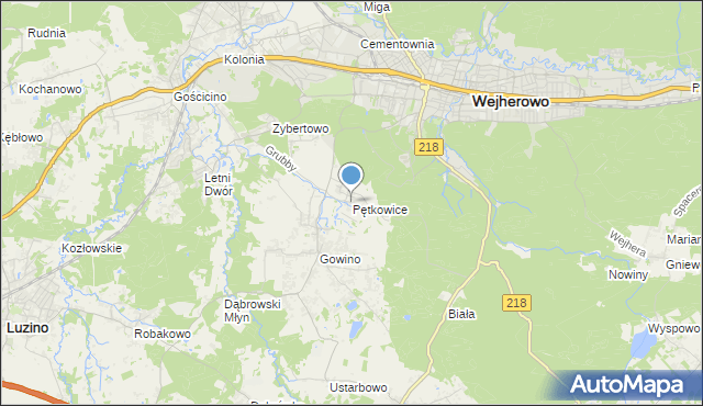 mapa Pętkowice, Pętkowice gmina Wejherowo na mapie Targeo