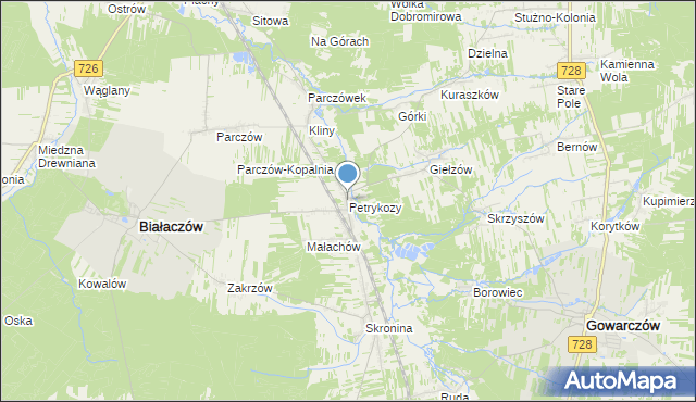 mapa Petrykozy, Petrykozy gmina Białaczów na mapie Targeo