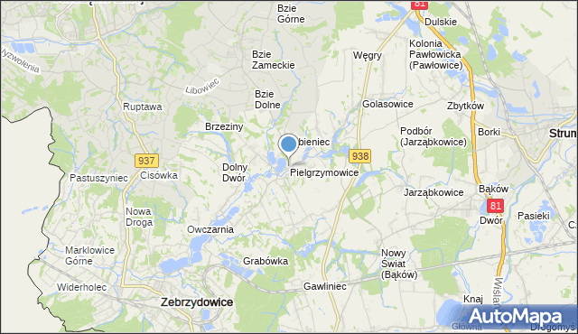 mapa Pielgrzymowice, Pielgrzymowice gmina Pawłowice na mapie Targeo