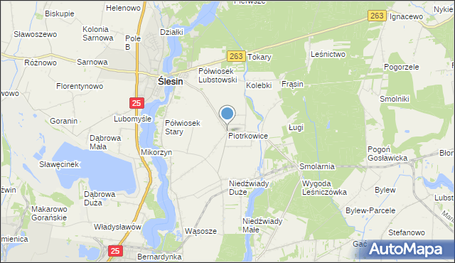 mapa Piotrkowice, Piotrkowice gmina Ślesin na mapie Targeo