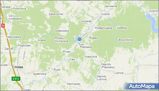 mapa Płazówka, Płazówka gmina Dzikowiec na mapie Targeo