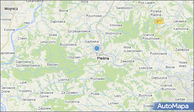 mapa Pleśna, Pleśna powiat tarnowski na mapie Targeo