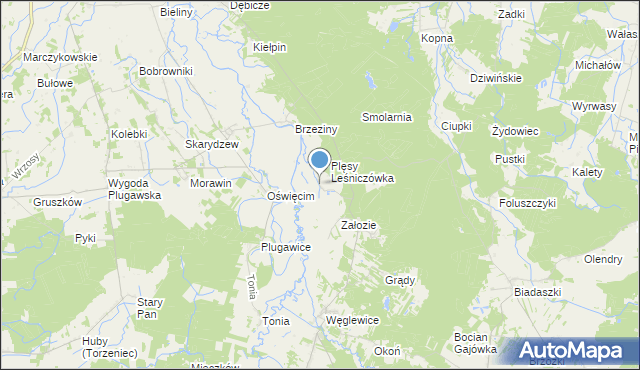 mapa Plęsy, Plęsy gmina Galewice na mapie Targeo