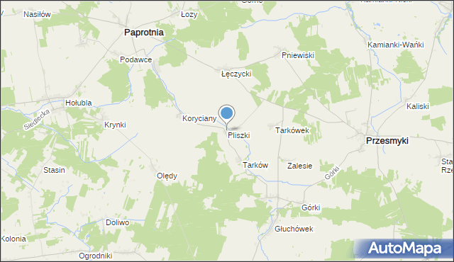 mapa Pliszki, Pliszki na mapie Targeo