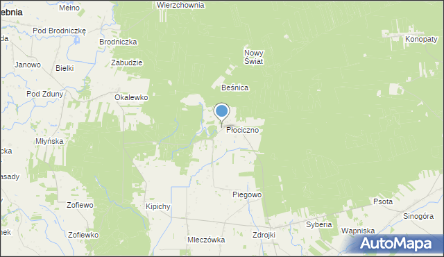 mapa Płociczno, Płociczno gmina Świedziebnia na mapie Targeo