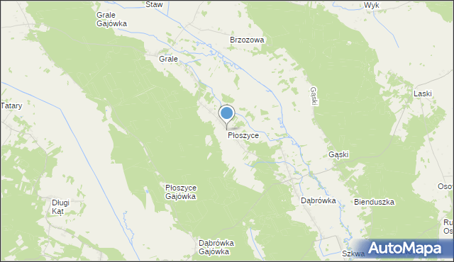 mapa Płoszyce, Płoszyce na mapie Targeo