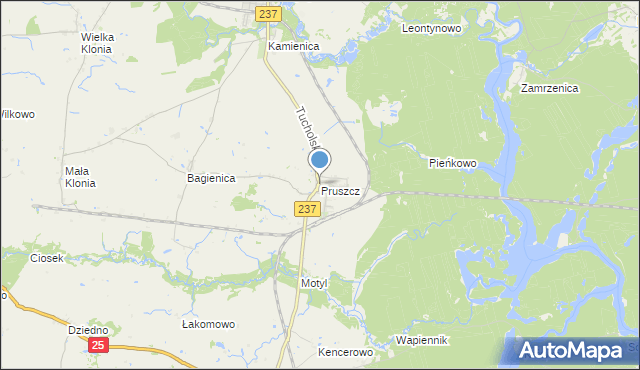 mapa Pruszcz, Pruszcz gmina Gostycyn na mapie Targeo