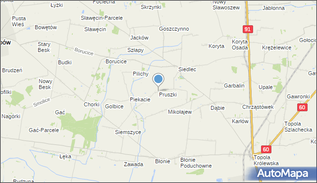 mapa Pruszki, Pruszki gmina Łęczyca na mapie Targeo