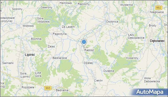 mapa Radość, Radość gmina Dębowiec na mapie Targeo