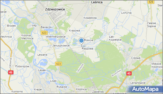 mapa Raszowa, Raszowa gmina Leśnica na mapie Targeo
