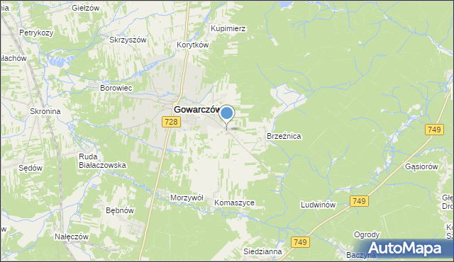 mapa Rogówek, Rogówek gmina Gowarczów na mapie Targeo