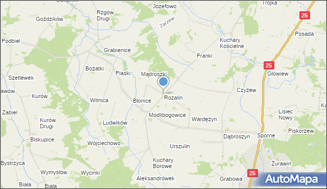 mapa Rozalin, Rozalin gmina Rychwał na mapie Targeo