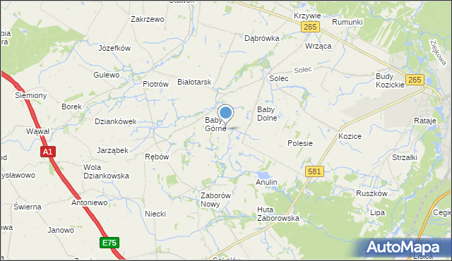 mapa Rybne, Rybne gmina Gostynin na mapie Targeo