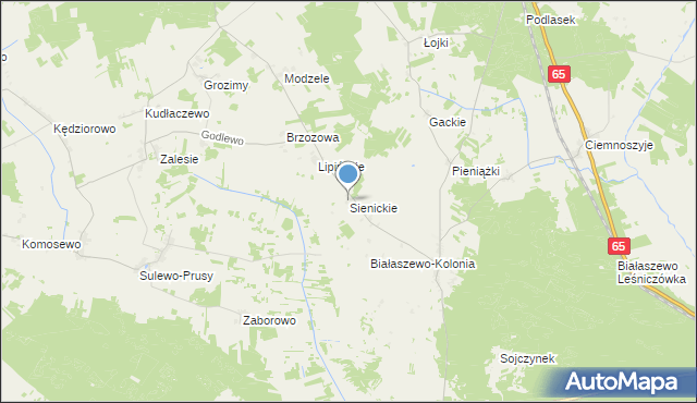 mapa Sienickie, Sienickie na mapie Targeo