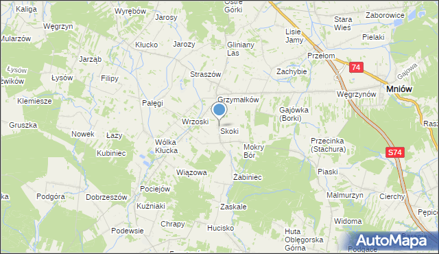mapa Skoki, Skoki gmina Mniów na mapie Targeo