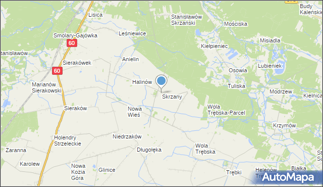 mapa Skrzany, Skrzany gmina Gostynin na mapie Targeo