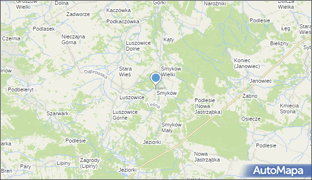 mapa Smyków, Smyków gmina Radgoszcz na mapie Targeo