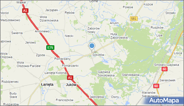 mapa Sokołów, Sokołów gmina Gostynin na mapie Targeo