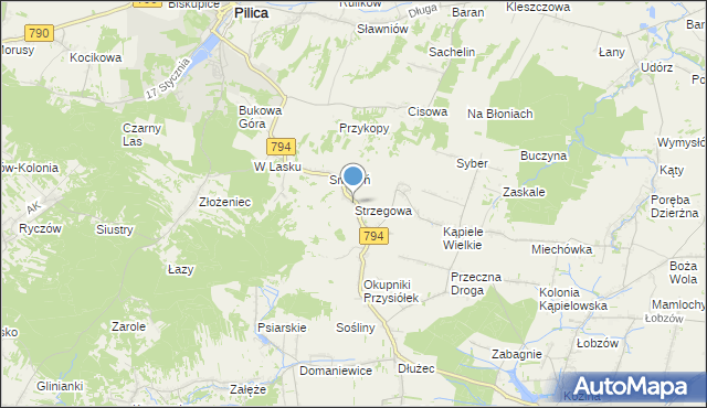 mapa Strzegowa, Strzegowa gmina Wolbrom na mapie Targeo