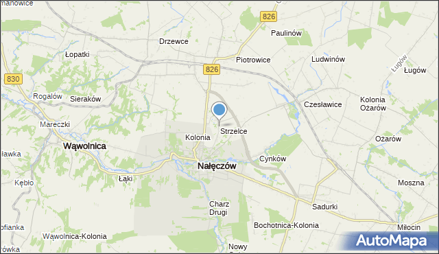 mapa Strzelce, Strzelce gmina Nałęczów na mapie Targeo