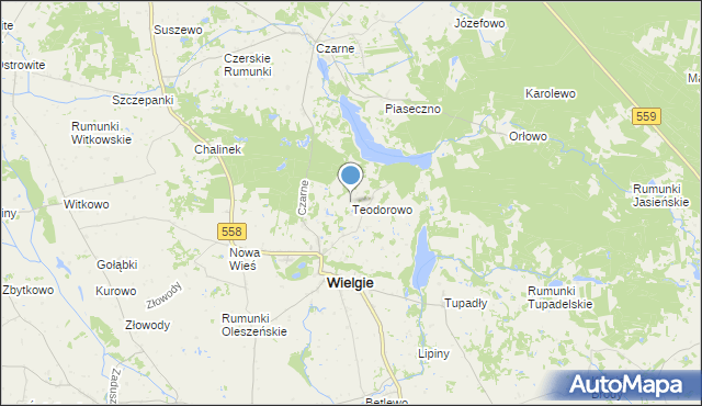 mapa Teodorowo, Teodorowo gmina Wielgie na mapie Targeo