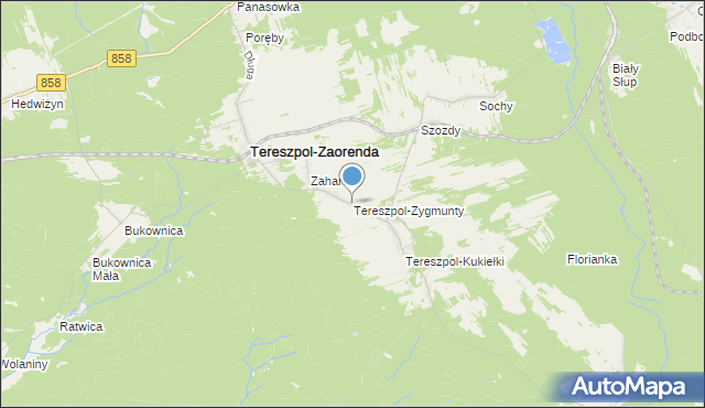 mapa Tereszpol-Zygmunty, Tereszpol-Zygmunty na mapie Targeo