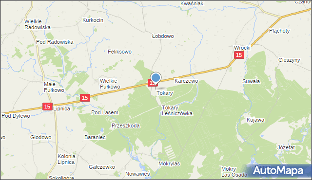 mapa Tokary, Tokary gmina Golub-Dobrzyń na mapie Targeo