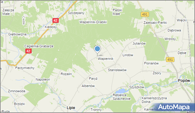 mapa Wapiennik, Wapiennik gmina Lipie na mapie Targeo