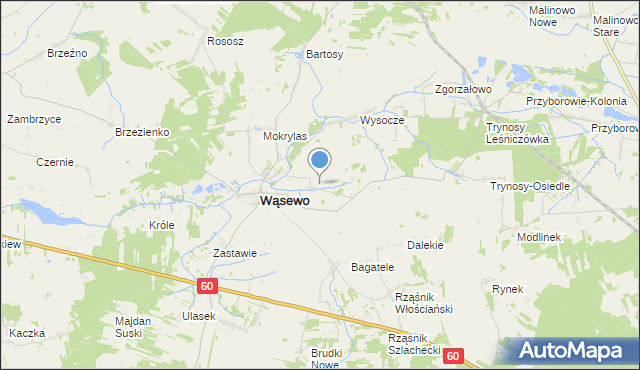 mapa Wąsewo-Kolonia, Wąsewo-Kolonia na mapie Targeo